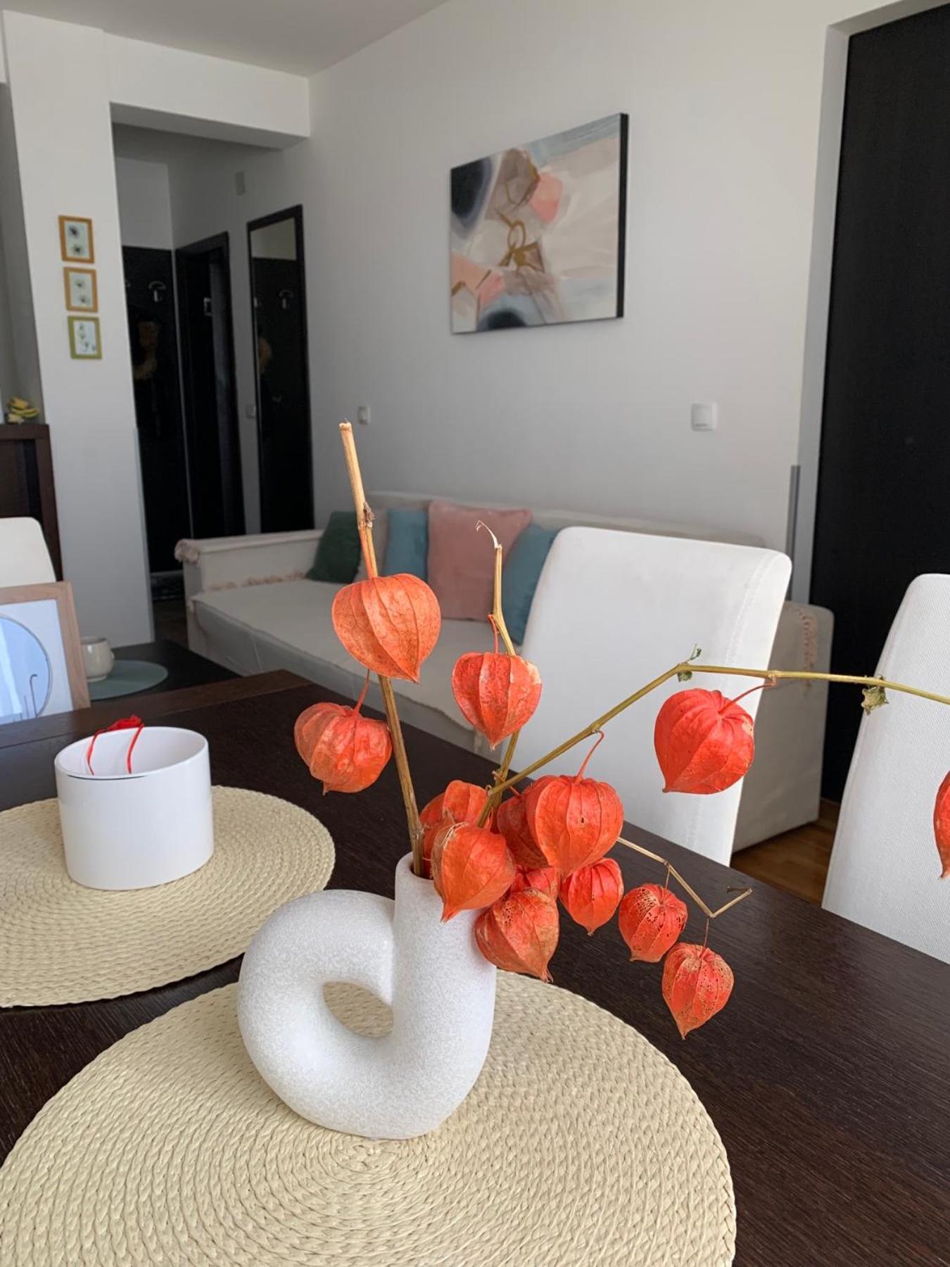 Beli Apartman U Zlatiborskim Konacima Bele Vode Bb Ngoại thất bức ảnh