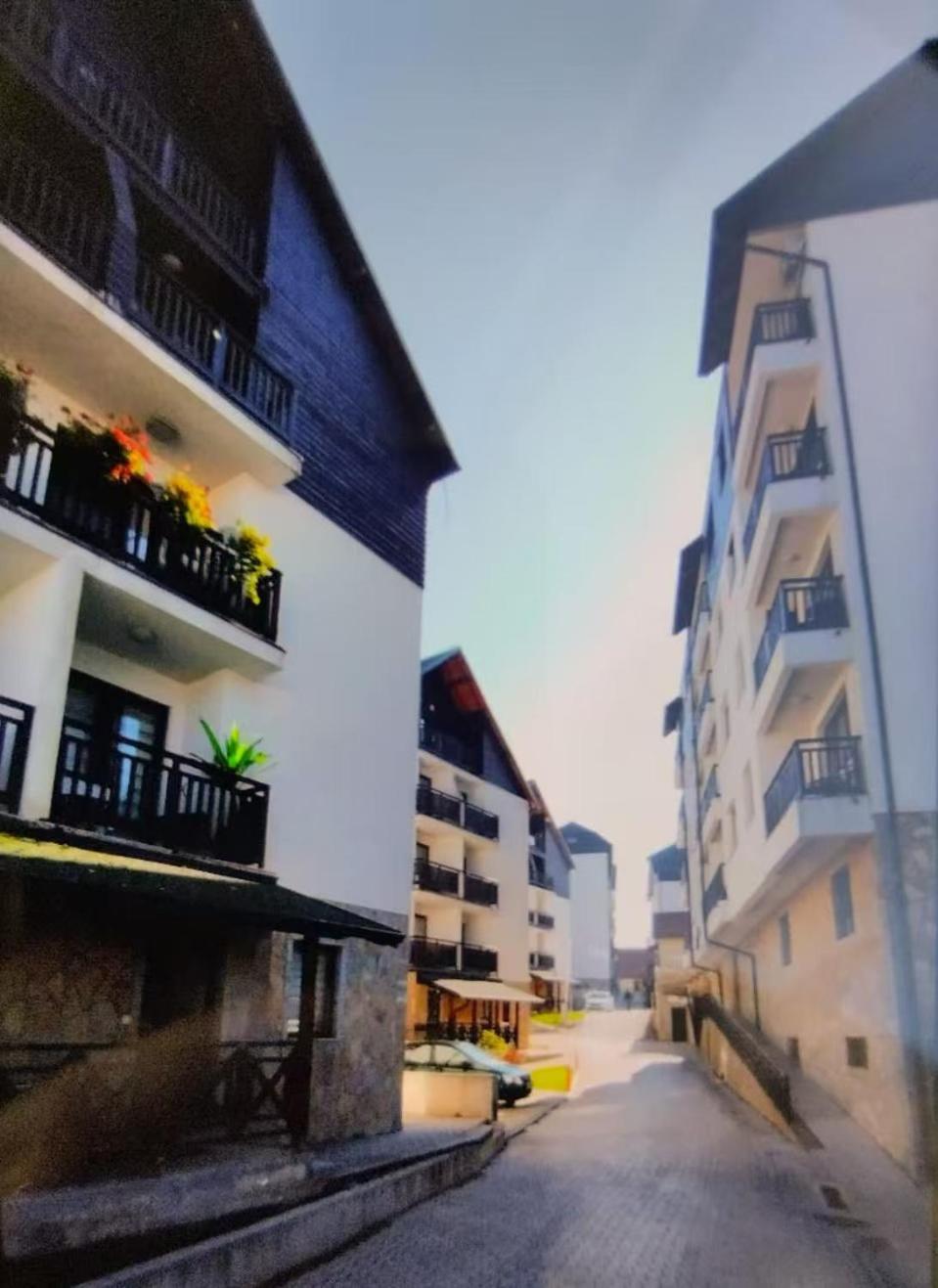 Beli Apartman U Zlatiborskim Konacima Bele Vode Bb Ngoại thất bức ảnh